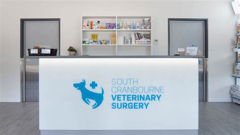 cranbourne veterinary clinic|Camms Road Veterinary Clinic Cranbourne.